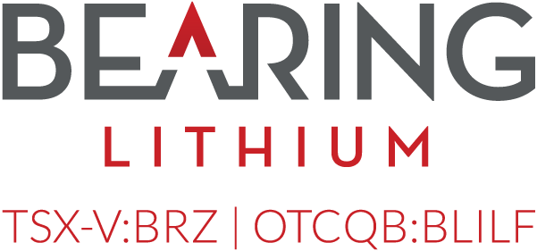 Bearing Lithium Logo