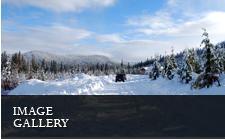 Image Gallery